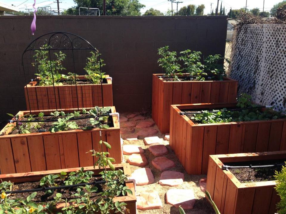 Update from La Mirada Three Tiered Redwood raised bed ...