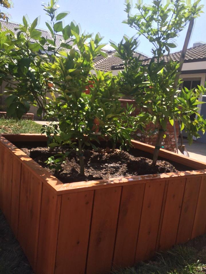 48 x 48 x 18 redwood raised bed garden planter