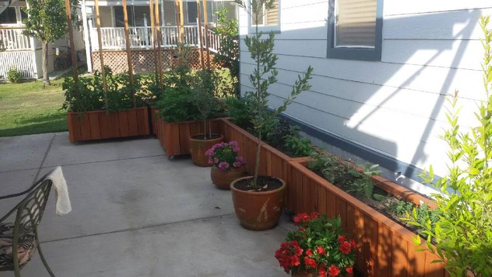 Custom redwood planter boxes